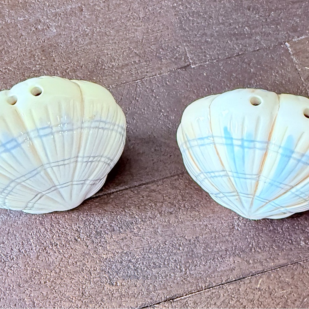 Pfaltzgraff Beachcomber Salt and Pepper Shakers -Discontinued